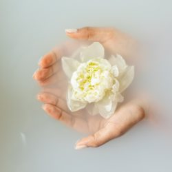 pexels-monstera-6621182 pexels-monstera-6621182